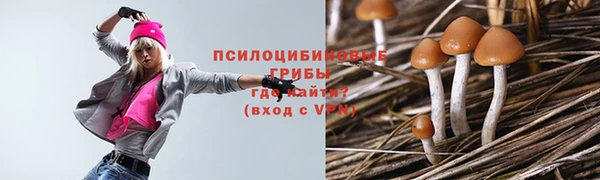 мет Балахна