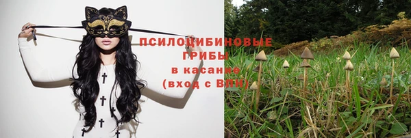мдпв Балабаново