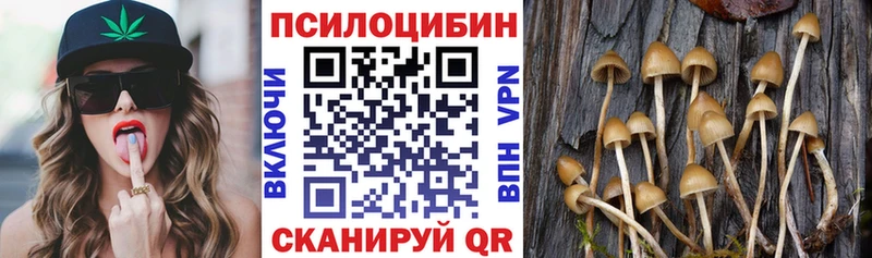 Псилоцибиновые грибы прущие грибы  площадка телеграм  Вилюйск 